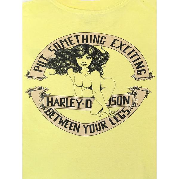 古着 80s USA製 HARLEY DAVIDSON 名作 「Nude with Black Long Hair