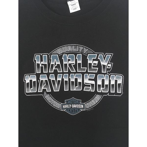 古着 10s HARLEY DAVIDSON バー&シールド 自由の女神 フォト 長袖 T