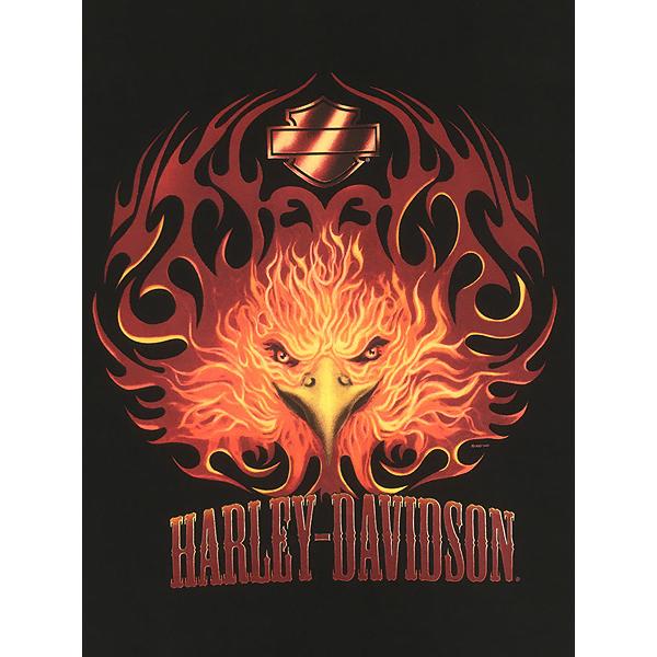古着 00s HARLEY DAVIDSON ファイヤー イーグル フェイス バー