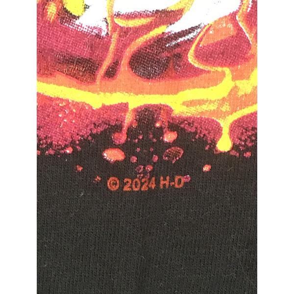 古着 HARLEY DAVIDSON ファイヤー スカル V2 エンジン Tシャツ M