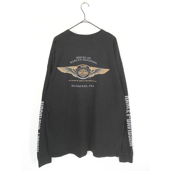 古着 10s HARLEY DAVIDSON 110th アニバーサリー イーグル 長袖 T 