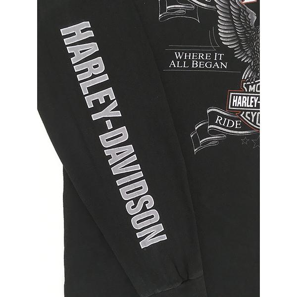 古着 10s HARLEY DAVIDSON 110th アニバーサリー イーグル 長袖 T 