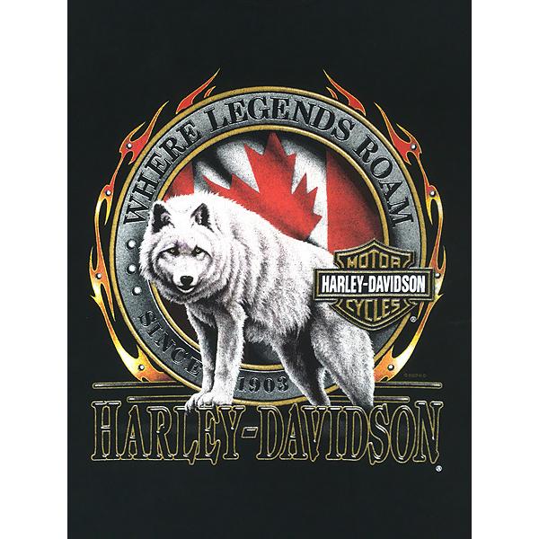 古着 00s Canada製 HARLEY DAVIDSON オオカミ ホワイト ウルフ
