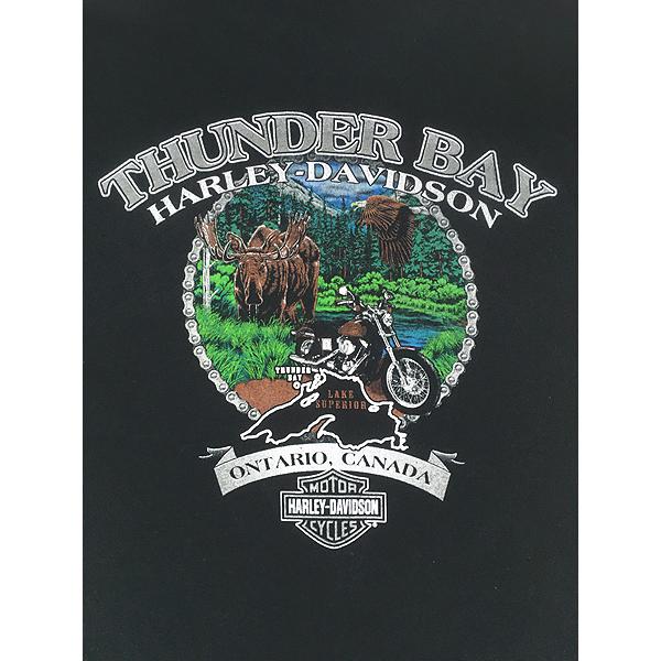 古着 00s Canada製 HARLEY DAVIDSON オオカミ ホワイト ウルフ