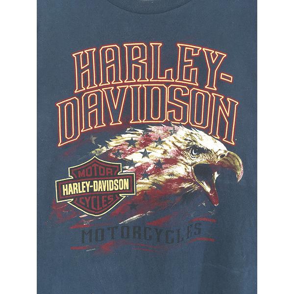 古着 10s HARLEY DAVIDSON イーグル 星条旗 バイク 長袖 Tシャツ ロンT 