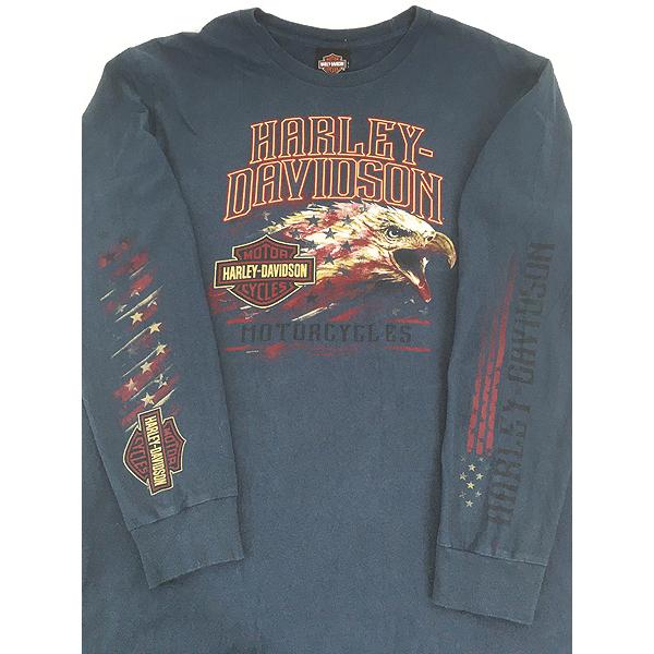 古着 10s HARLEY DAVIDSON イーグル 星条旗 バイク 長袖 Tシャツ ロンT 
