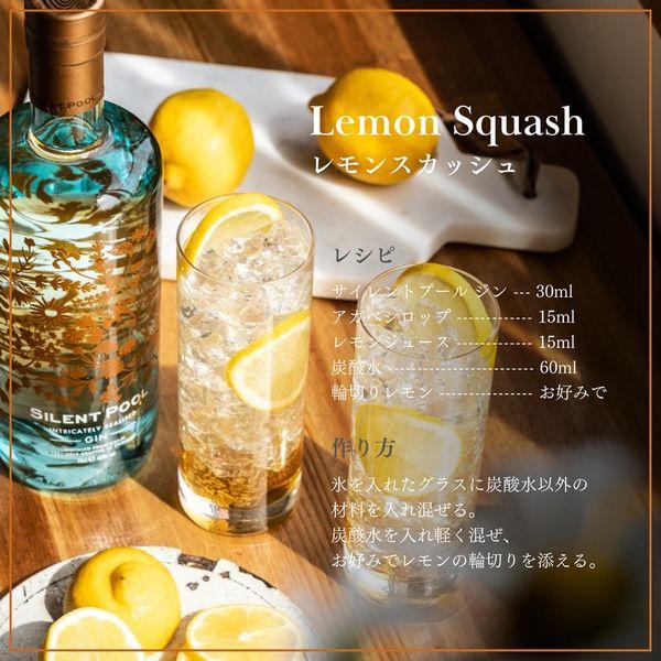 ジン＆ラムキャンペーン サイレントプール ジン 43％ 700ml ジンの香水