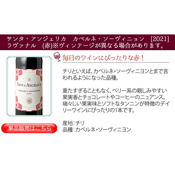 ワイン ワインセット 赤白 9本 家飲み ボルドー入 赤ワイン 白