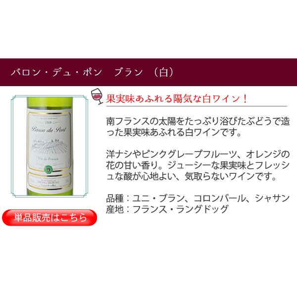 ワイン ワインセット 赤白 9本 家飲み ボルドー入 赤ワイン 白ワイン デイリーワイン 飲み比べ 第103弾 wineset 送料無料｜dragee-wine｜14