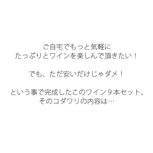 ワイン ワインセット 赤白 9本 家飲み ボルドー入 赤ワイン 白ワイン デイリーワイン 飲み比べ 第103弾 wineset 送料無料｜dragee-wine｜03