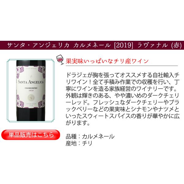 ワイン ワインセット 赤白 9本 家飲み ボルドー入 赤ワイン 白ワイン デイリーワイン 飲み比べ 第103弾 wineset 送料無料｜dragee-wine｜09