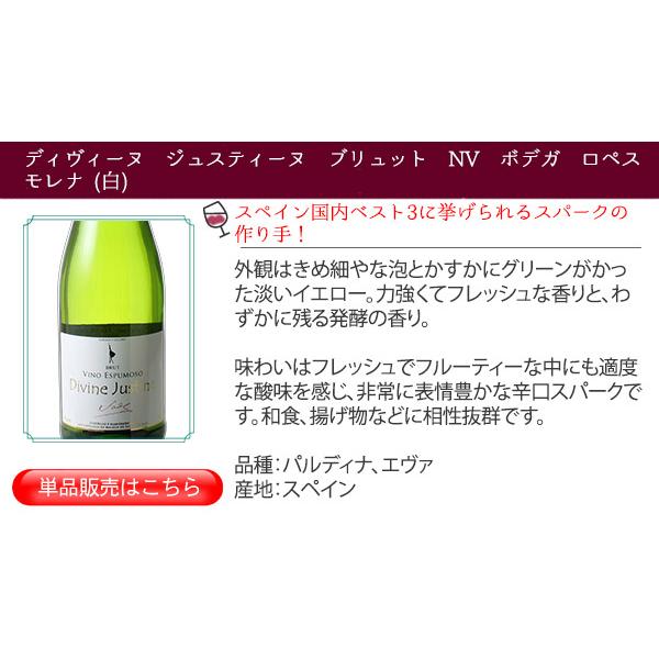 ワイン ワインセット スパークリングワイン 9本 セット 1本あたり868円