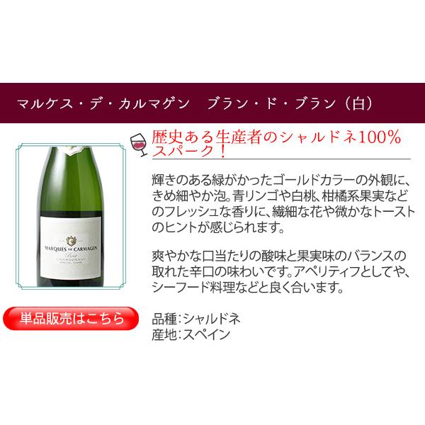 ワイン ワインセット スパークリングワイン 9本 セット 1本あたり868円
