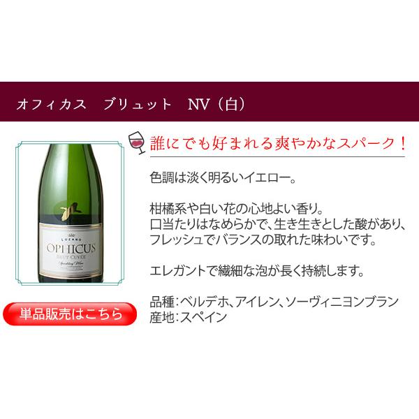 ワイン ワインセット スパークリングワイン 9本 セット 1本あたり868円