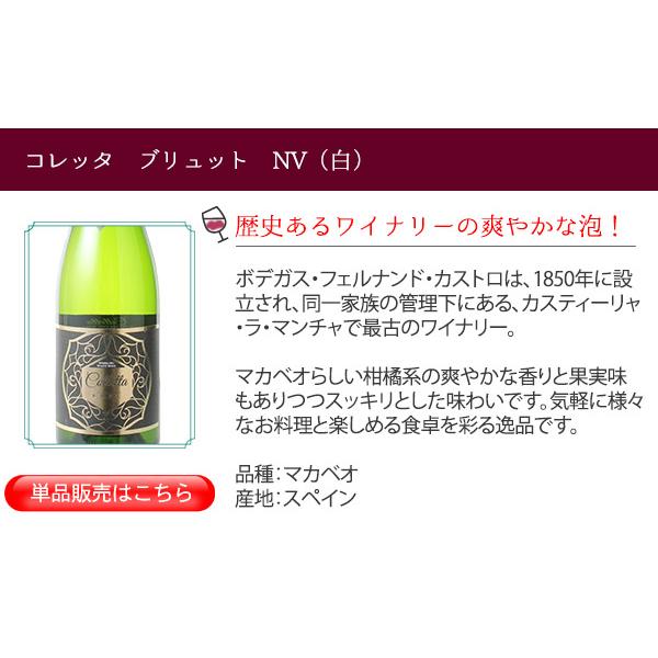 ワイン ワインセット スパークリングワイン 9本 セット 1本あたり868円