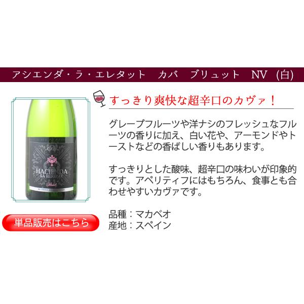 ワイン ワインセット スパークリング 9本 セット 1本あたり795円 税抜723円 辛口 カヴァ入 シャンパン製法入 夢の9本 第162弾 wineset 送料無料 父の日 ギフト｜dragee-wine｜14