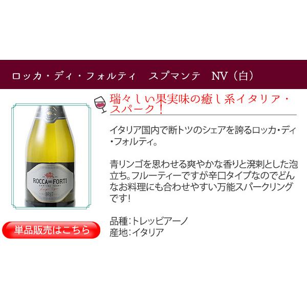 ワイン ワインセット スパークリングワイン 9本 セット 1本あたり868円