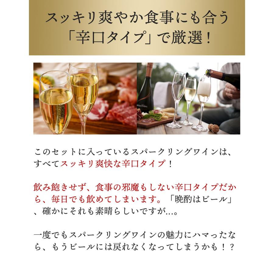 ワイン ワインセット スパークリング 9本 セット 1本あたり795円 税抜723円 辛口 カヴァ入 シャンパン製法入 夢の9本 第162弾 wineset 送料無料｜dragee-wine｜04