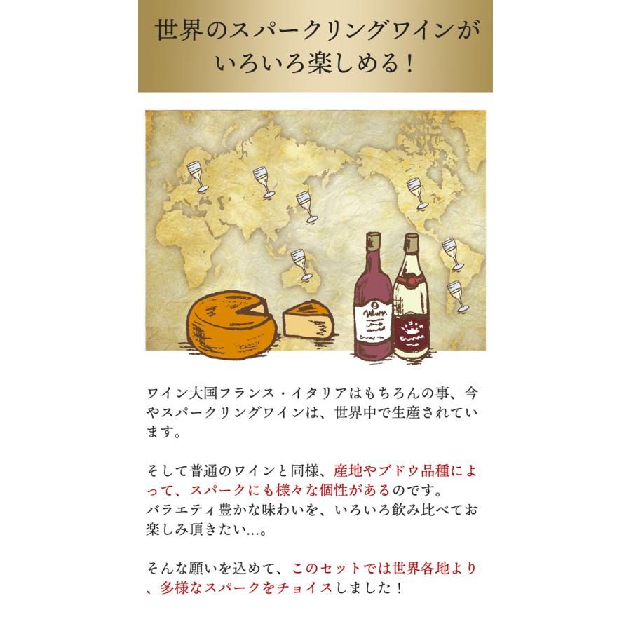 ワイン ワインセット スパークリングワイン 9本 セット 1本あたり868円