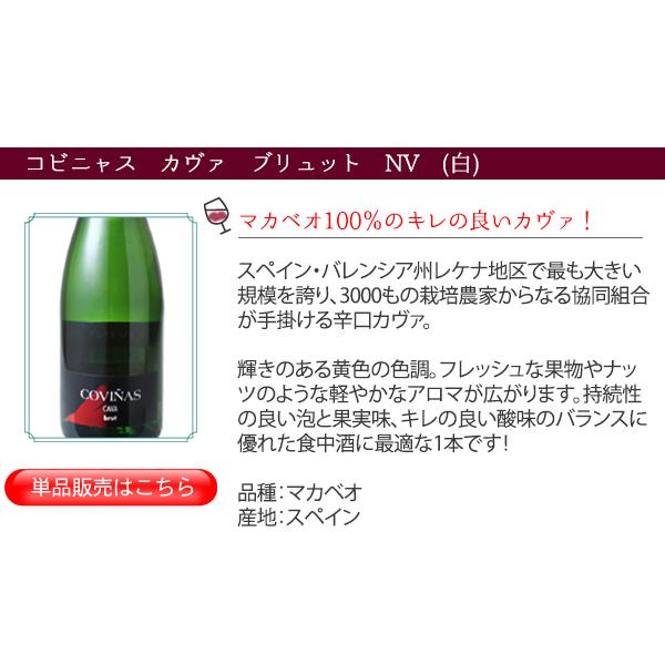 ワイン ワインセット スパークリング 9本 セット 1本あたり795円 税抜723円 辛口 カヴァ入 シャンパン製法入 夢の9本 第162弾 wineset 送料無料 父の日 ギフト｜dragee-wine｜08