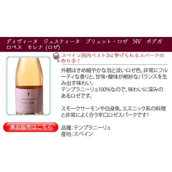 ワイン ワインセット スパークリングワイン 9本 セット 1本あたり868円