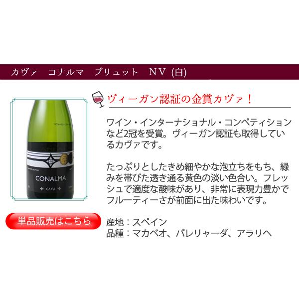 ワイン ワインセット スパークリング 5本 格安 辛口 泡 カヴァ ワイン ワインセット スパークリング 5本 格安 辛口 泡 カヴァ