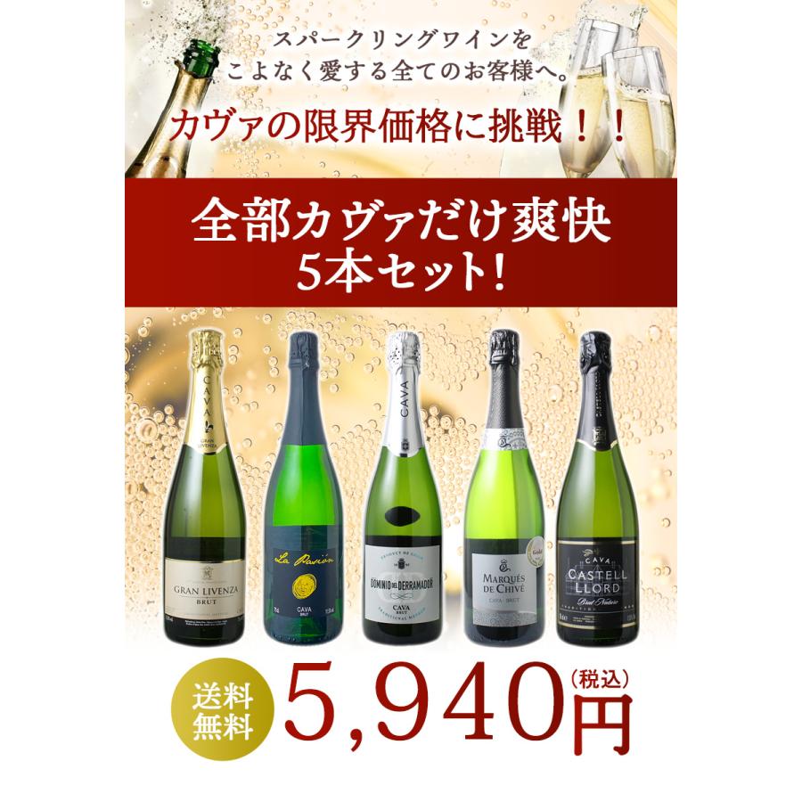 ワイン ワインセット スパークリング 5本 格安 辛口 泡 カヴァ カバ