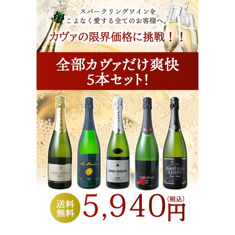 ワイン ワインセット スパークリング カヴァだけ 5本 セット 辛口 泡