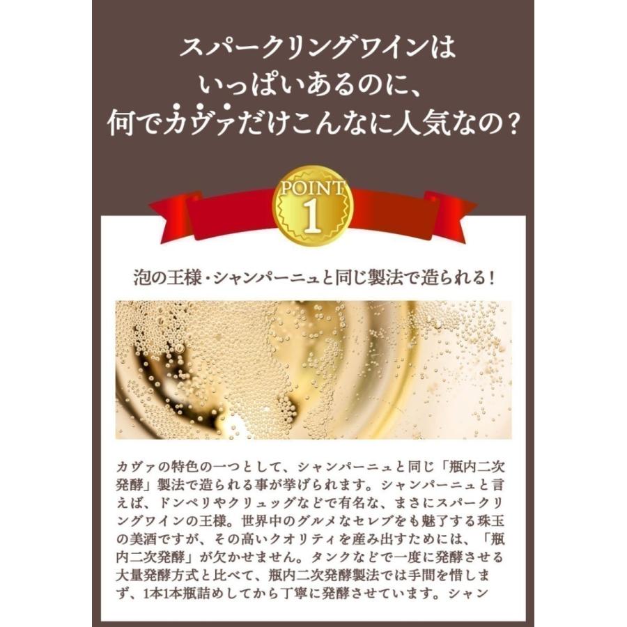 ワイン ワインセット スパークリング 5本 格安 辛口 泡 カヴァ ワイン ワインセット スパークリング 5本 格安 辛口 泡 カヴァ