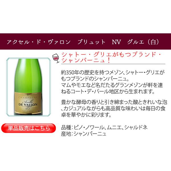 ワイン ワインセット スパークリング シャンパン入 5本 セット
