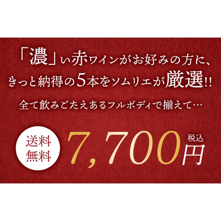 ワイン ワインセット 赤 赤ワイン 濃厚 フルボディ 5本 セット マディラン カオール リオハ 飲みごたえ文句なし 第45弾 wineset 送料無料｜dragee-wine｜03