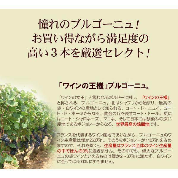 ワイン ワインセット 赤 赤ワイン ブルゴーニュ 3本 セット ピノ