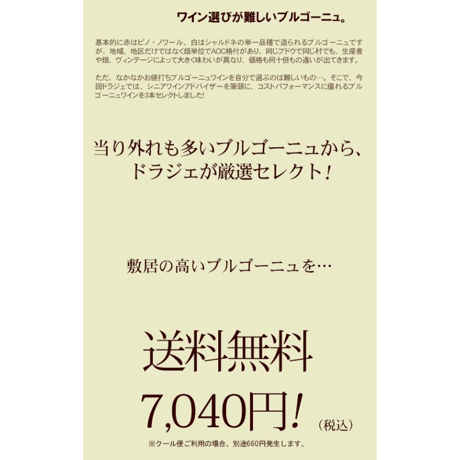 ワイン ワインセット 赤ワイン ブルゴーニュだけ 3本 セット 赤 ピノ