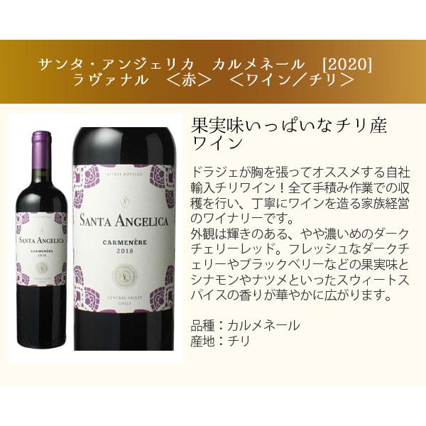 ワイン ワインセット 赤白 スパークリング ボルドーもカヴァも入ったゴージャス家飲み 9本 セット 赤ワイン 白ワイン 第54弾 wineset 送料無料｜dragee-wine｜10