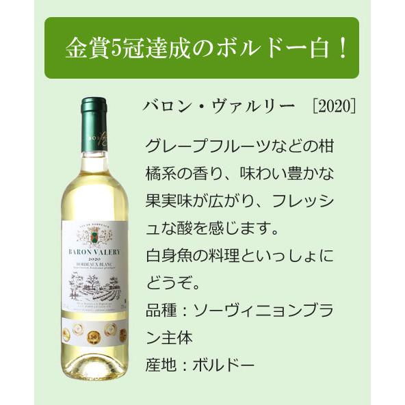 ワインセット 白ワイン 渾身 12本 セット グラーヴ モーゼル ボルドー イタリア フランス スペイン 第35弾 Wineset 送料無料 