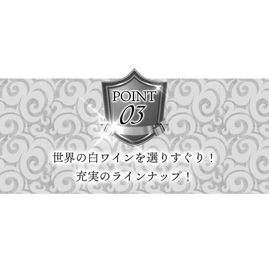 ワイン ワインセット 白 12本 白ワイン 渾身 セット ラインガウ ミュスカデ イタリア フランス ドイツ チリ 辛口 第48弾 wineset 送料無料｜dragee-wine｜06