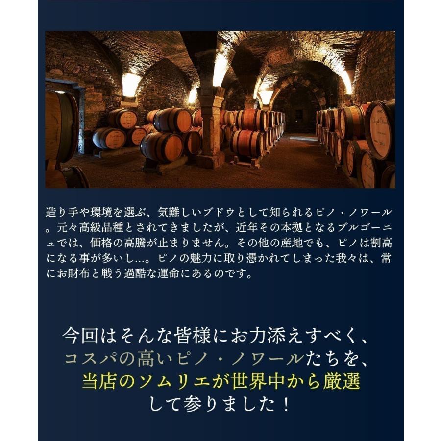 ワイン ワインセット 赤 赤ワイン 家飲み ピノ・ノワール 9本 セット ブルゴーニュ ニュージーランド カリフォルニア ドイツ 第23弾 wineset 送料無料 父の日｜dragee-wine｜03