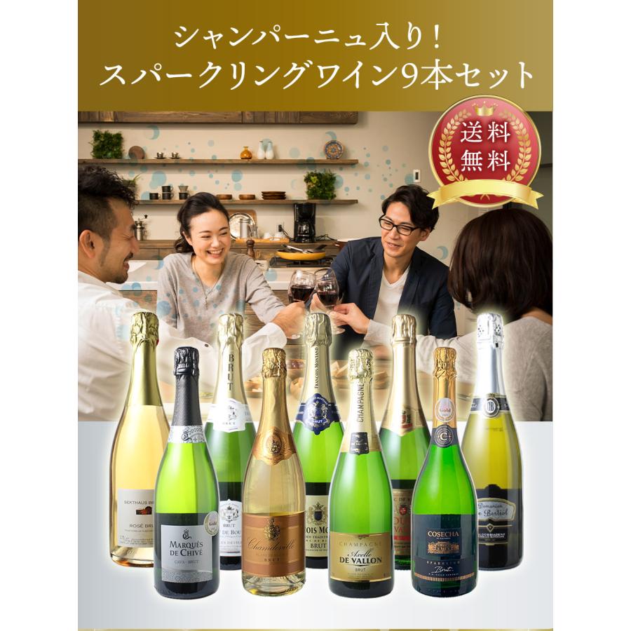 ワイン ワインセット スパークリングワイン 全力全開 9本 セット 