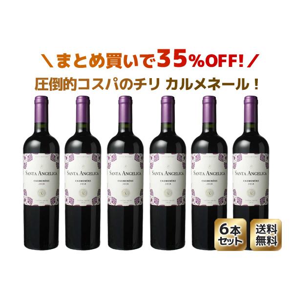 送料無料 ワインセット サンタ・アンジェリカ カルメネール ラヴァナル 6本セット 家飲み まとめ買い 2020 赤｜dragee-wine｜02