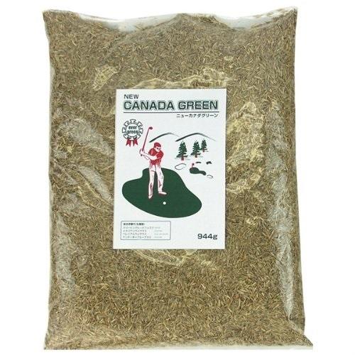 【即納】ニューカナダグリーン（NEWカナダグリーン）芝生 カナダグリーン ガーデニング 芝生の種 庭 | 
