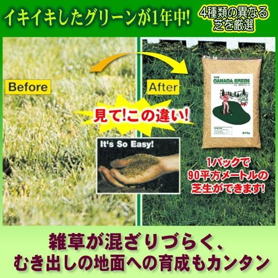 【即納】ニューカナダグリーン（NEWカナダグリーン）芝生 カナダグリーン ガーデニング 芝生の種 庭 |  | 02