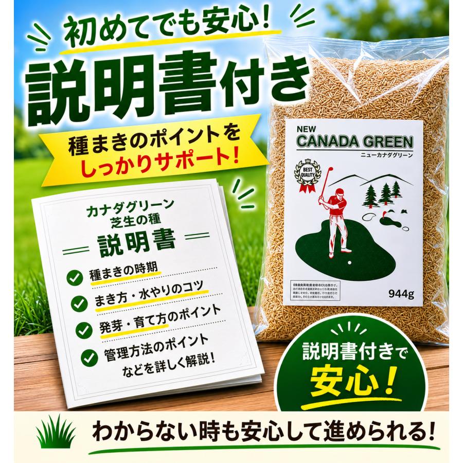 Benidai 芝生の種 ゼニゴケプラス エリオトロプラス　6個セット まとめ買い 3袋セット】芝生の種 ニューカナダグリーン 西洋芝の種