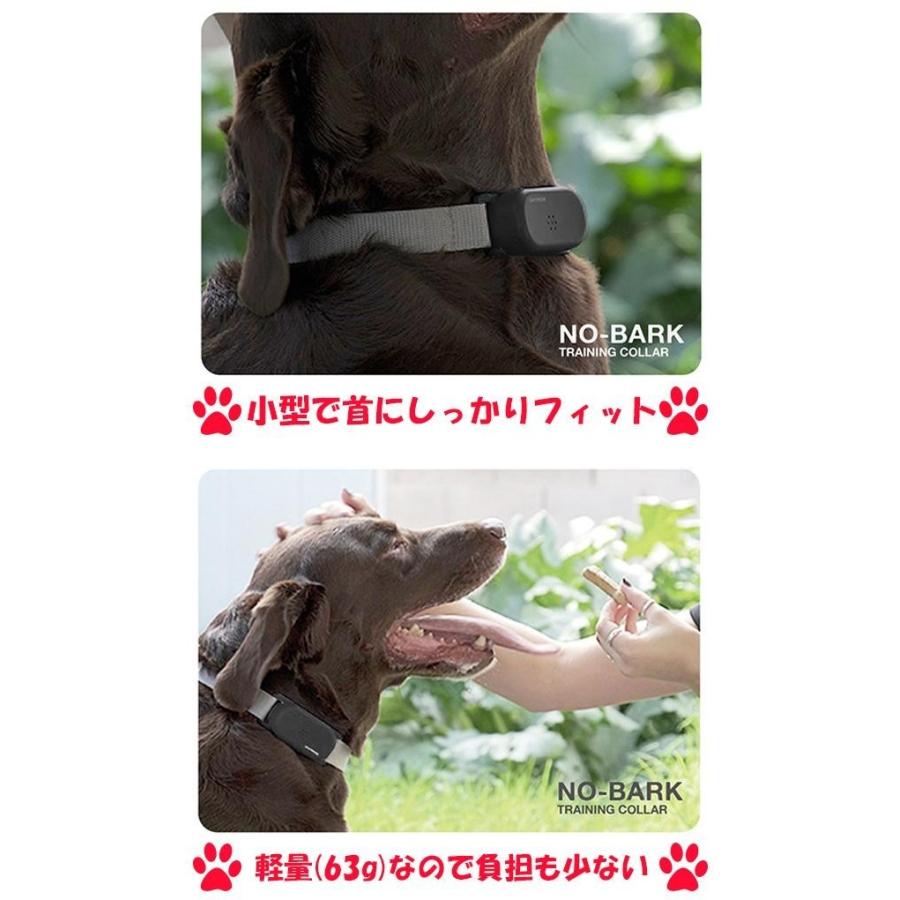 あすつく Reddi Pet 犬用ムダ吠えしつけ首輪 ノーバーク トレーニングカラー Lサイズ 無駄吠え防止首輪 グッズ 大型犬 Cm 1 Dragon Bee 通販 Yahoo ショッピング
