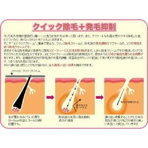 【即納】エピクリアクリーム（医薬部外品）500g 大容量 脱毛クリーム 除毛クリーム お徳用 男性用 女性用 兼用｜dragon-bee｜03