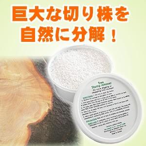 あすつく スタンプアウト2個組 切り株除去剤 スタンプ アウト 切り株の処理 ガーデニング 庭 手入れ 枯らす 分解剤