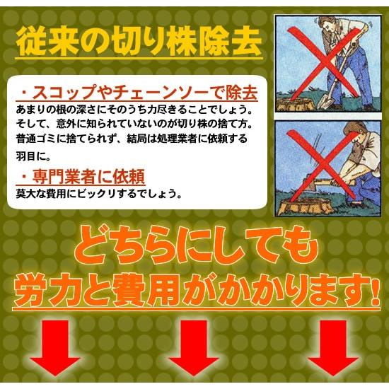 【即納】スタンプアウト2個組　切り株除去剤 スタンプ・アウト 切り株の処理 ガーデニング 庭 手入れ 枯らす 分解剤｜dragon-bee｜04