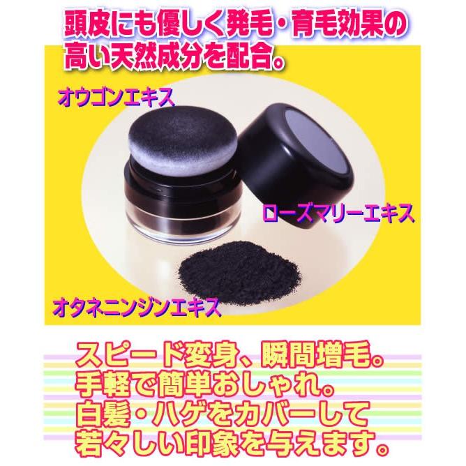 Tommy Rich（トミーリッチ） 在庫あり ヘアーファンデーション