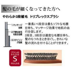 池本刷子工業 在庫あり 天然毛ブラッシングブラシ IKH4628 L