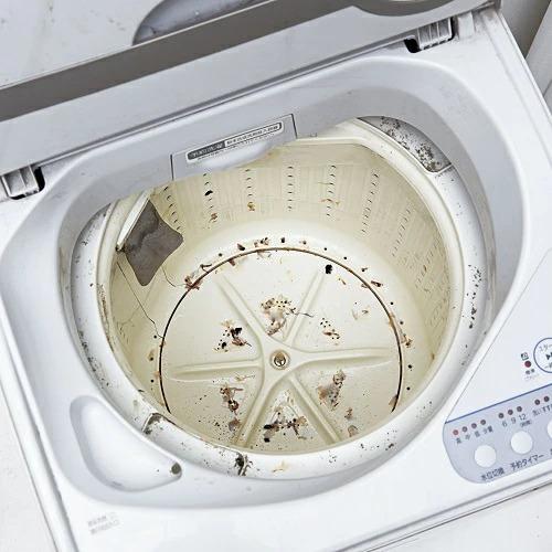 パワーバイオ 洗濯槽のカビきれい 2個セット コジット 洗濯機 強力洗浄 