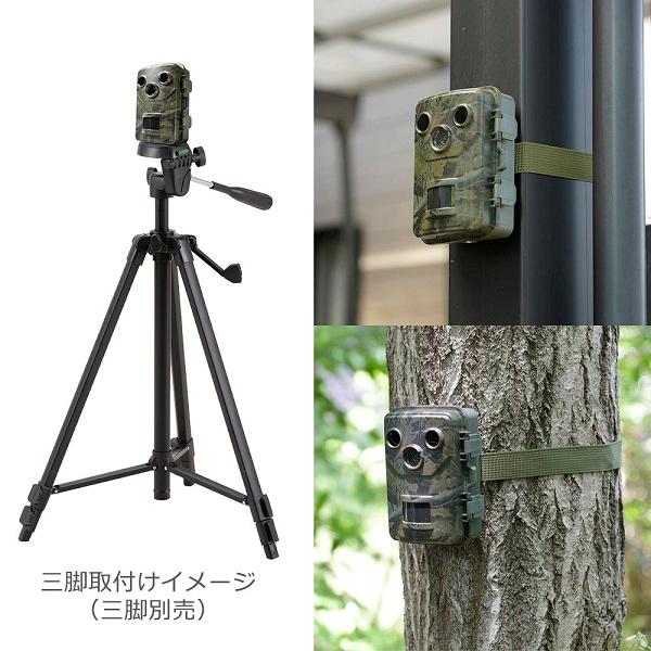 トレイルカメラ 300万画素 IP66 電池式トレイルカメラ（人感センサー/2.0inchカラーモニター/300万画素
